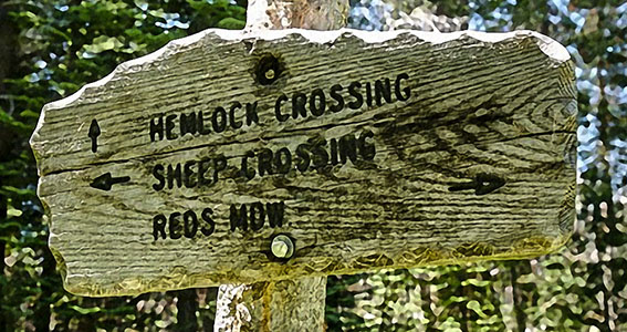 hemlock crossing